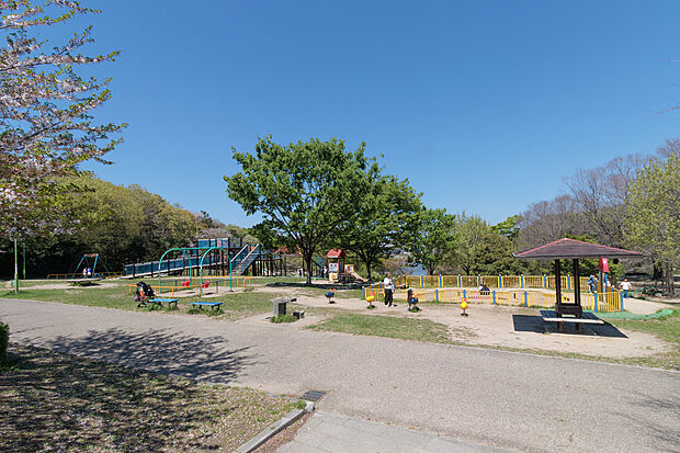 天白公園（約240m）