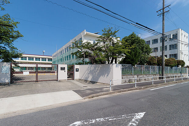 八社小学校（約240m）