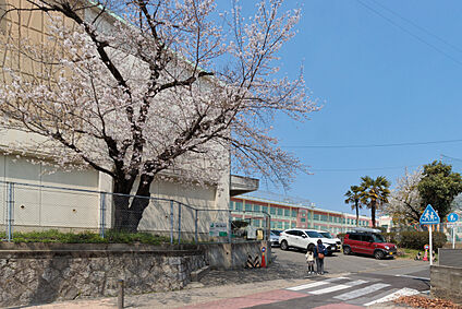 瑞穂小学校 720m(徒歩9分)