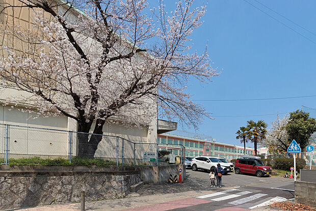 瑞穂小学校(約720m)