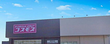 ディスカウントドラッグコスモス西長住店 746ｍ(徒歩10分)