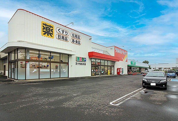 ツルハドラッグ苫小牧桜木町店(約800m)