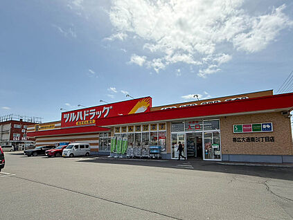 ツルハドラッグ帯広大通南24丁目店 1000m(徒歩13分)