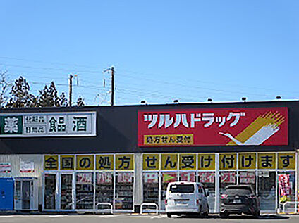 ツルハドラッグ 紫波南店 800m(徒歩10分)