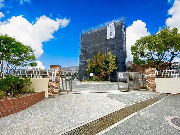 福岡市立舞松原小学校(約230m)