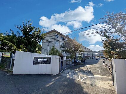 福岡市立名島小学校 700m