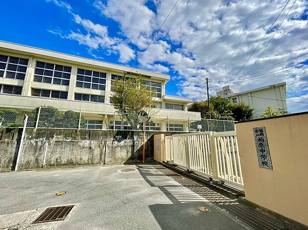 福岡市立柏原中学校 （約1,459m）