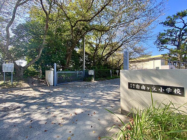 宗像市立自由ケ丘小学校(約1,700m)