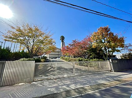 福岡市立野間中学校 1684ｍ