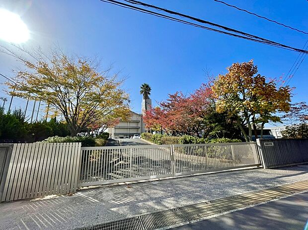 福岡市立野間中学校(約1,684m)