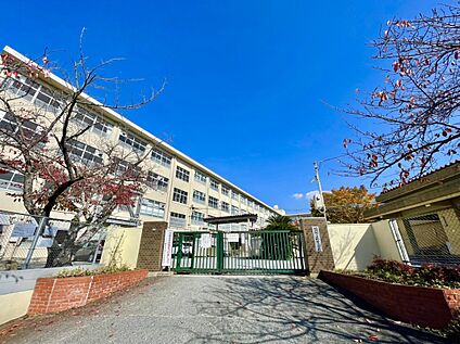 福岡市立鶴田小学校  729m