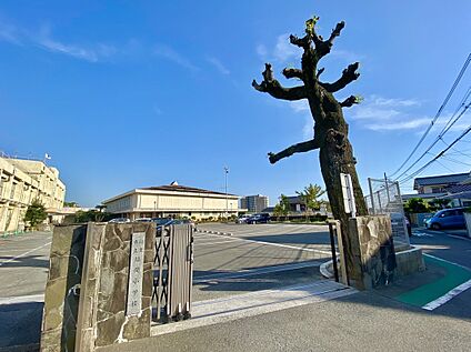 福津市立福間小学校 550m