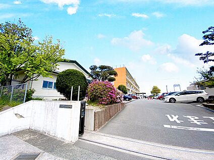 大野城市立大野南小学校  1217m