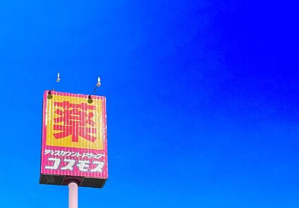 ドラッグストアコスモス南風台店 1200m