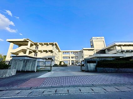 福岡市立柏原小学校 718ｍ