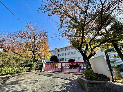 福岡市立筑紫丘中学校 933ｍ