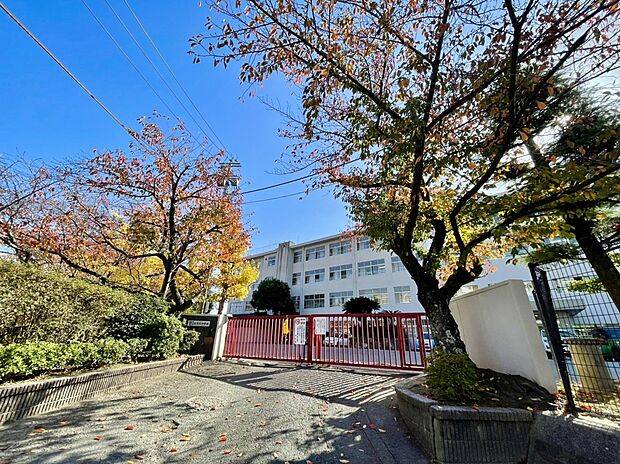 福岡市立筑紫丘中学校（約933m）
