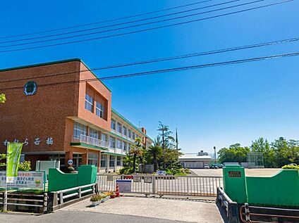 佐賀市立若楠小学校 1454m