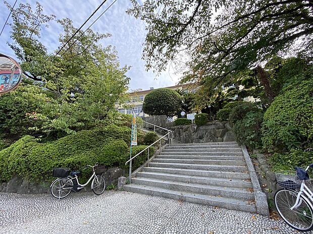 福岡市立長尾小学校（約667m）