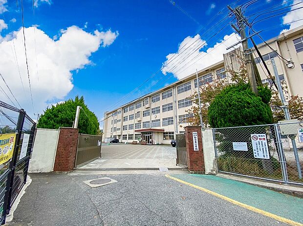 福岡市立和白東小学校（約900m）