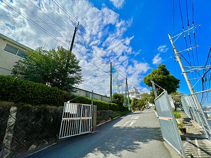 福岡市立花畑中 学校  1038m