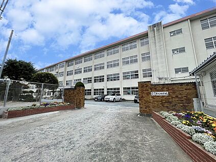 福岡市立原北中 学校  491m