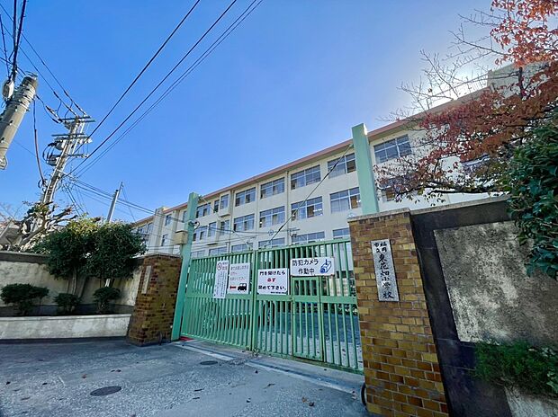 福岡市立東花畑小学校 (約442m)