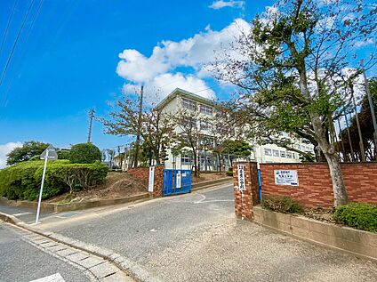 福岡市立青葉小学校 1000ｍ
