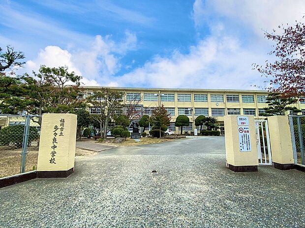 福岡市立多々良中学校(約1,100m)