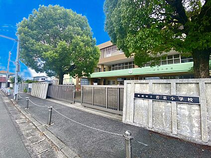 飯塚市立若菜小学校 950ｍ