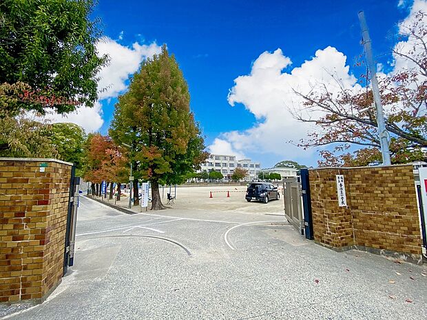 福岡市立香住丘小学校(約1,100m)