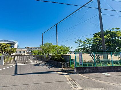佐賀市立高木瀬小学校 389ｍ