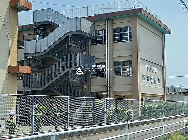 宮崎市立赤江小学校（約800m）