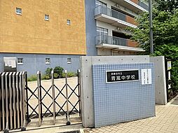 西武池袋線「ひばりヶ丘」駅 徒歩10分