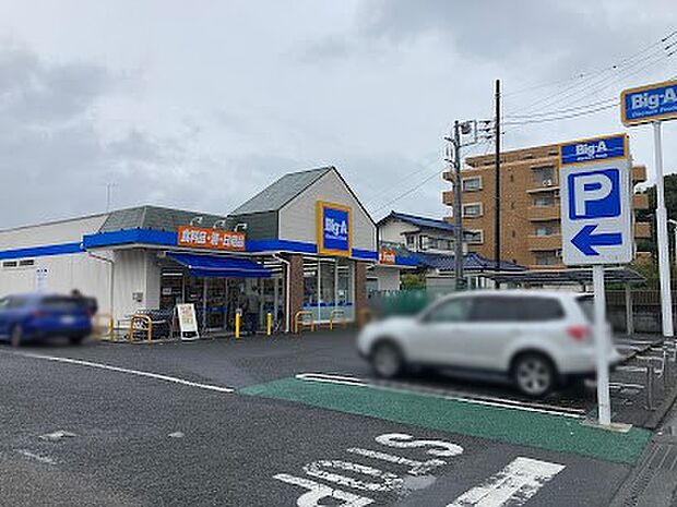 ビッグ・エー 国分寺並木町店(約700m)