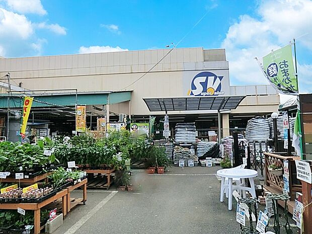 スーパーバリュー練馬大泉店(約900m)