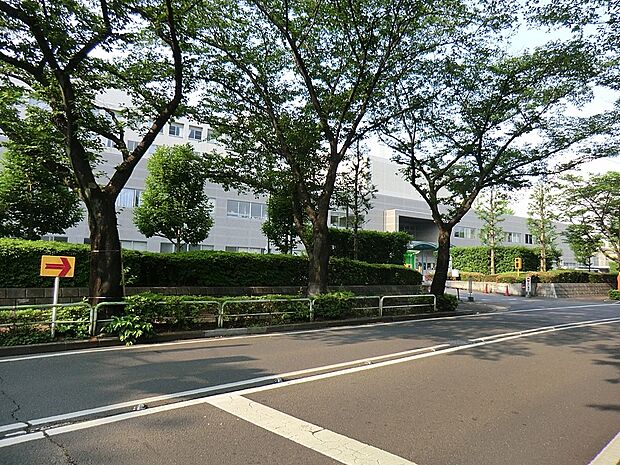 日本大学医学部付属練馬光が丘病院（約1,600m）