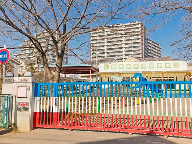 田無向ヶ丘幼稚園（約800m）