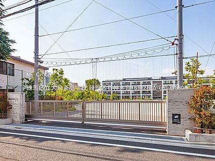 練馬区立大泉東小学校 880m(11分)