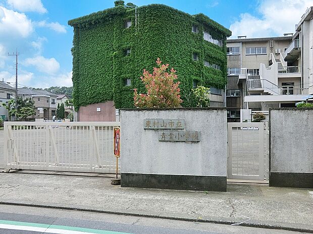 東村山市立青葉小学校(約500m)