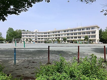 所沢市立若狭小学校 800m(10分)