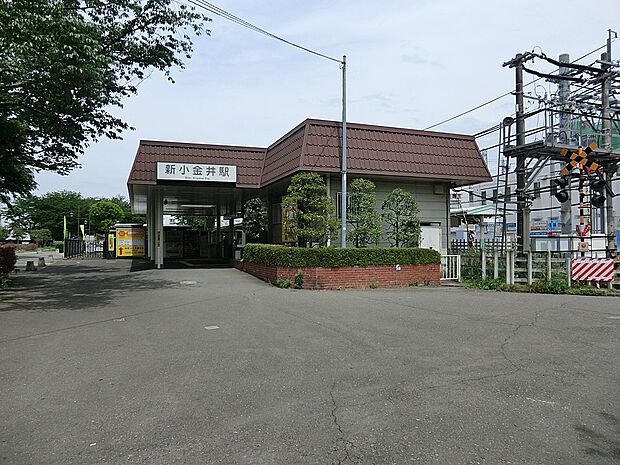 新小金井駅(約800m)