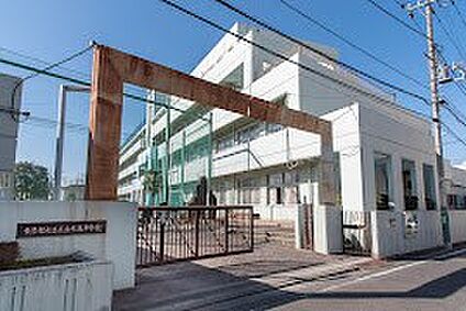 杉並区立杉森中学校 700m
