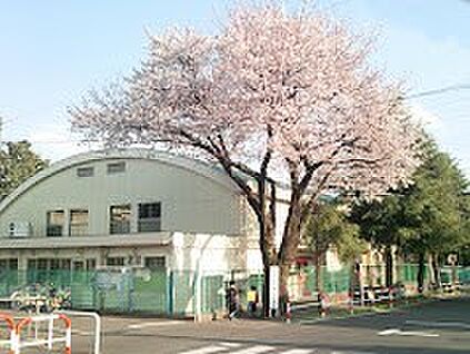 小平市立小平第十三小学校 600m(8分)