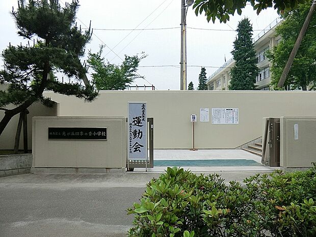 練馬区立光が丘四季の香小学校(約300m)