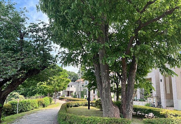 蟹ケ谷のぞみの丘公園(約250m)
