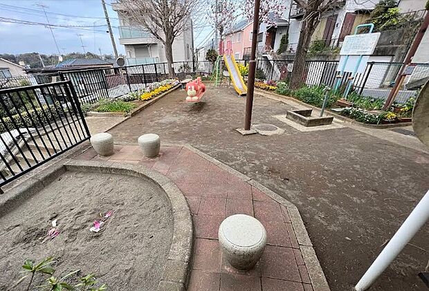 神木三本松公園(約250m)