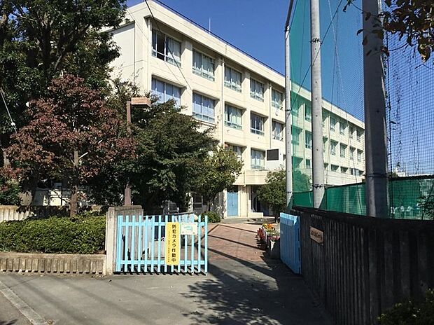 稲城市立稲城第四中学校（約350m）