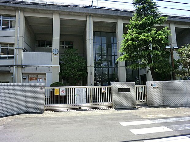 川崎市立新城小学校(約650m)