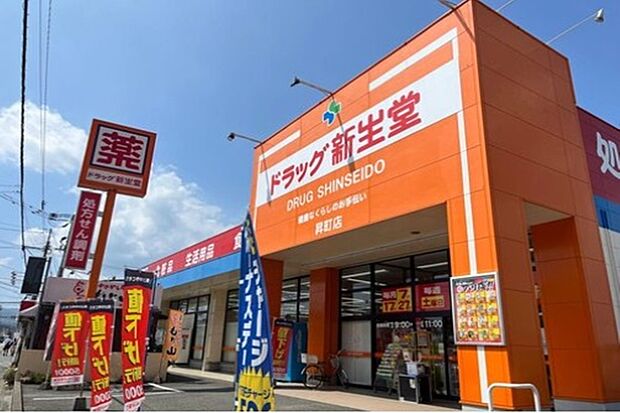 ドラッグ新生堂昇町店(約171m)
